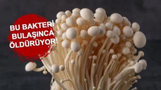 Marketlerde satılıyordu, bakteri tespit edildi! Acilen raflardan toplatılıyor! Geri çağırıldı...