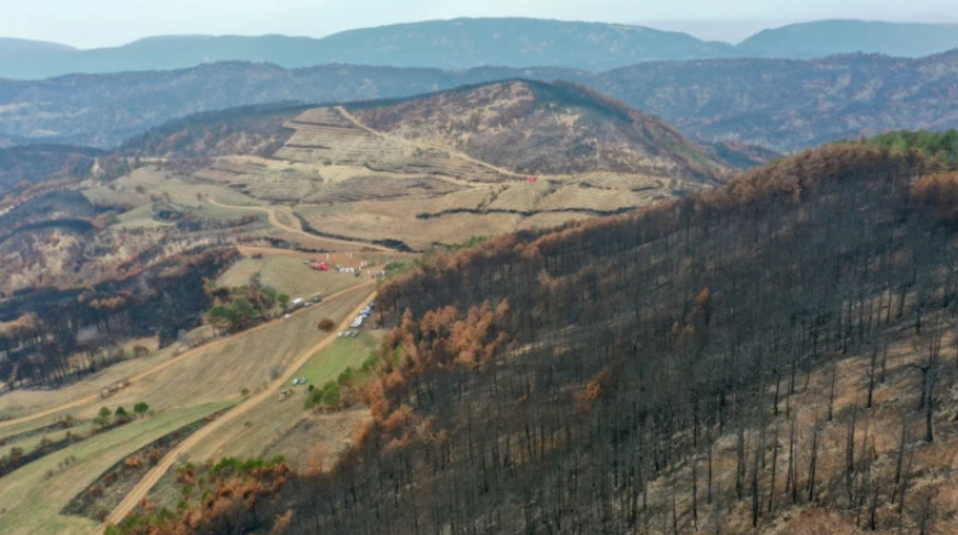 Bolu yangınlarında zarar gören alanlar 5 milyon 350 fidanla yeşillendirilecek