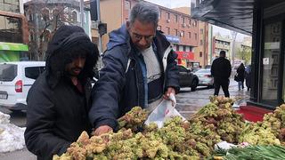 Kanserin yeni ilacı deniyor! Kilosu 300 liradan satılıyor ama 'fiyatlar yakında düşer'