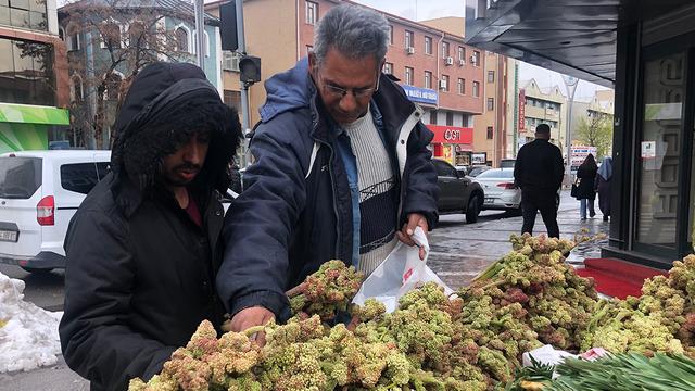 Kanserin yeni ilacı deniyor! Kilosu 300 liradan satılıyor ama 'fiyatlar yakında düşer'