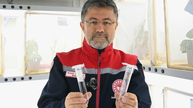 Tarım ve Orman Bakanı Yumaklı'dan kahverengi kokarcayla mücadeleye ilişkin açıklamalar 