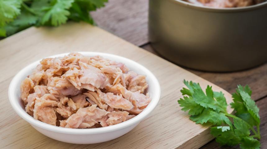 Ton balığının faydaları nedir? Ton balığı neden tüketilmelidir? Zararları var mı?