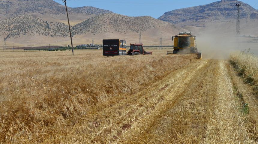 1 milyar TL'lik buğday vurgunu! 9 şüpheli tutuklandı