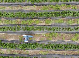 'Gelenlere kilo bazında satış yapıyoruz' Normalde 2 katı, orada 100 TL'ye satılıyor