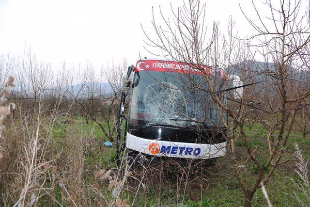 Yolcu otobüsü meyve bahçesine girdi: 6 yaralı