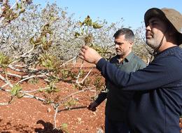 Tehlike teğet geçti, rahat nefes aldılar! Hemen gidip tek tek kontrol ettiler