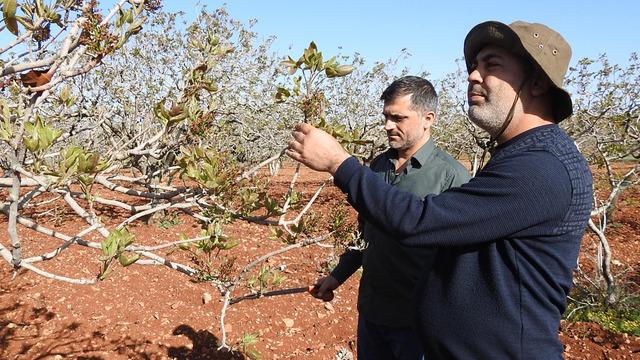 Tehlike teğet geçti, rahat nefes aldılar! Hemen gidip tek tek kontrol ettiler