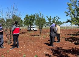 Şanlıurfa’da zirai donun etkili olduğu badem bahçeleri incelendi