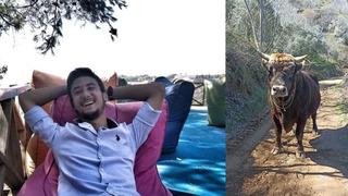 Aydın'da korkunç ölüm... Güreş boğası, bakıcısı genç Fevzi'yi boynuz darbeleriyle öldürdü