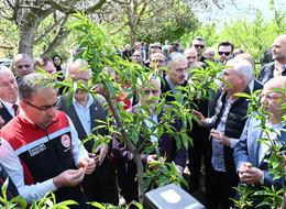 Bakan Yardımcısı Gümen açıkladı: İznik’te 63 bin dekar alan zirai dondan etkilendi