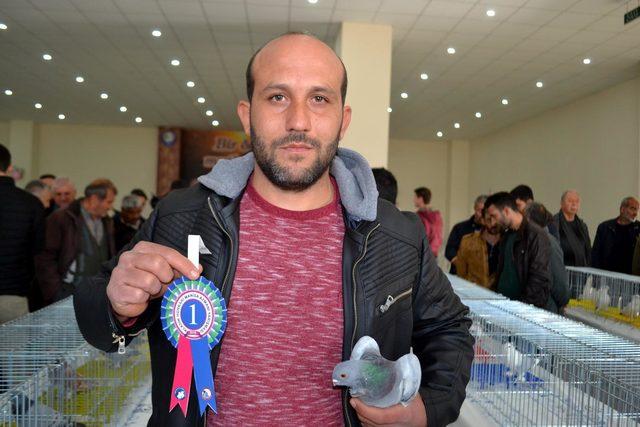 Salihli'de en güzel güvercin yarışması