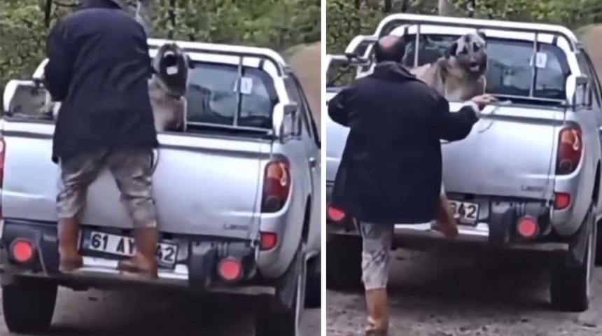 Kamyonette köpeğe halatla şiddet uyguladığı görüntüler tepki çekmişti! Gözaltına alındı