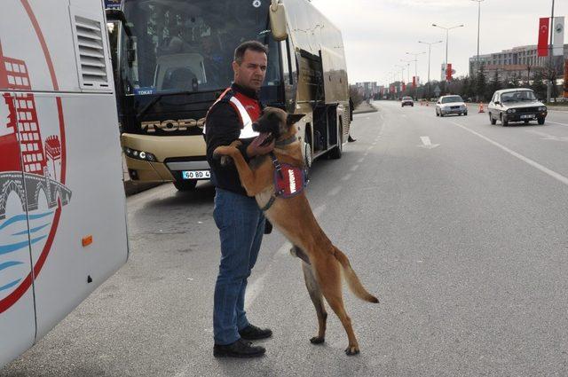 Jandarmadan köpekli yol denetimi