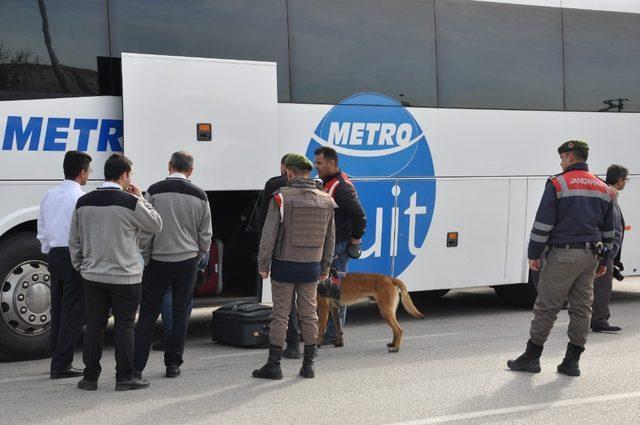 Jandarmadan köpekli yol denetimi