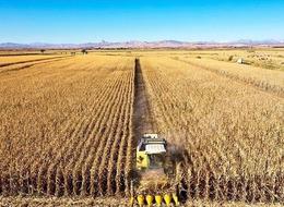 Son 20 ayın en düşük seviyesi! Tarımsal girdi fiyat endeksi verileri belli oldu