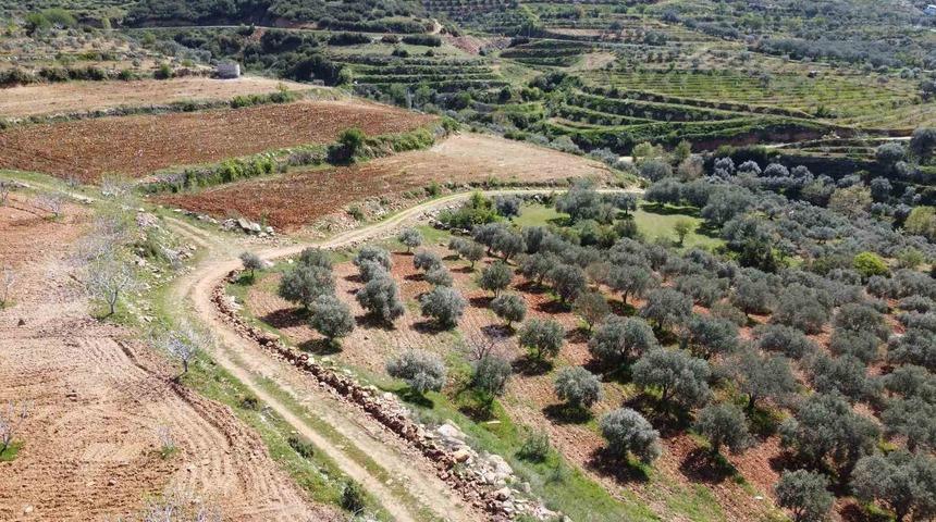 Bozdoğan’da arazi yolları bakıma alındı