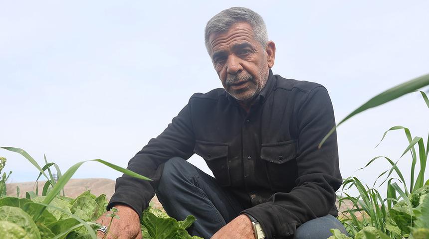 Tarlada 5 lira markette 30 lira! En verimli toprak orada ama 'Hasat verimsiz' Çiftçinin yüzü gülmedi... 