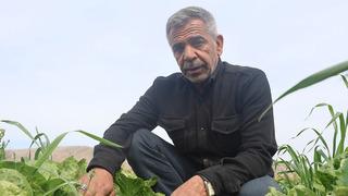 Tarlada 5 lira markette 30 lira! En verimli toprak orada ama 'Hasat verimsiz' Çiftçinin yüzü gülmedi... 