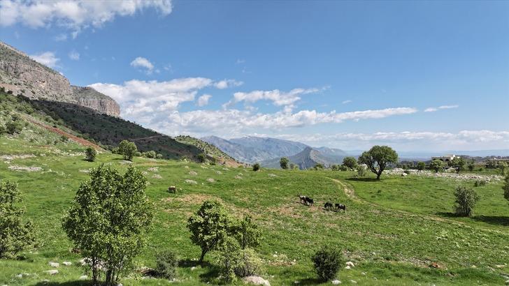 1990'lı yıllarda terk etmişlerdi! Keldaniler Paris'ten geri dönüyor... Cudi'de yeni bir yaşam: "Yaşam standartı yüksek bir köy" G5