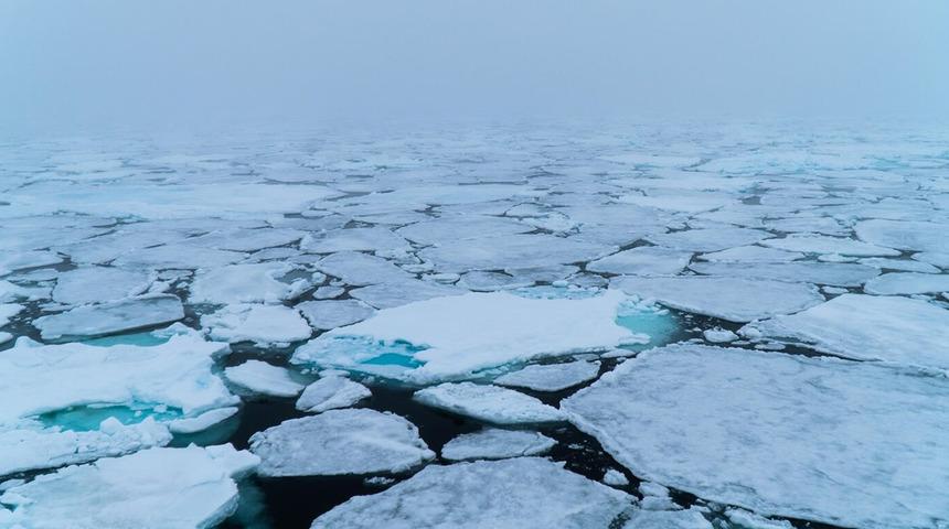 Japonya duyurdu! Arktik buz örtüsü son 40 yılın en düşük seviyesinde