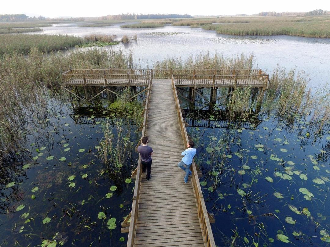 Efteni Kuş Cenneti drone ile g&ouml;r&uuml;nt&uuml;lendi