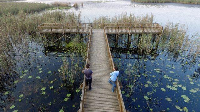 Efteni Kuş Cenneti drone ile görüntülendi