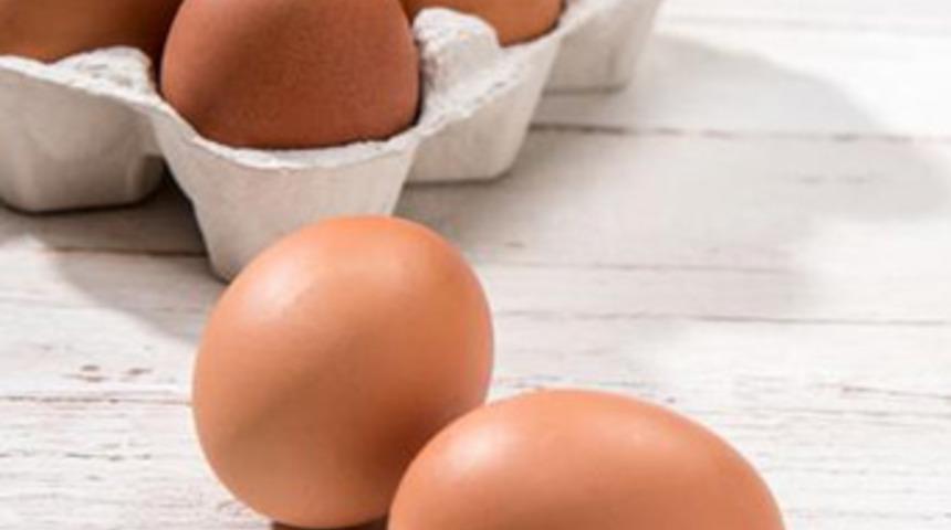 Fransa 'gezen tavuk' yumurtacılığına ge&ccedil;ecek