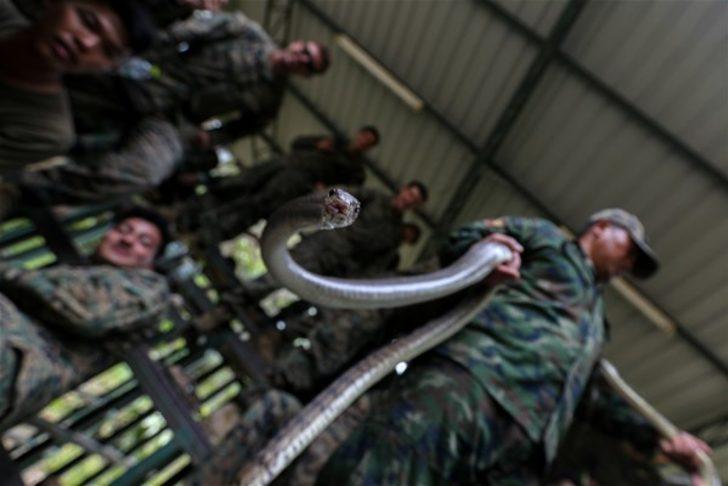 Yılanların kanını içtiler... G3