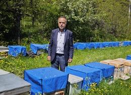 Zirai don bal üretimini de etkiledi! 'Yüzde 60'a varan kayıp'