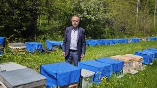 Zirai don bal üretimini de etkiledi! 'Yüzde 60'a varan kayıp'