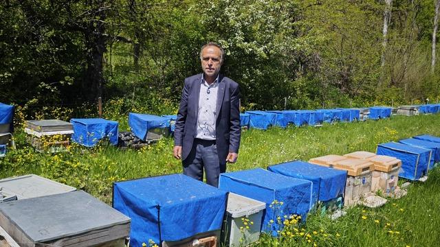 Zirai don bal üretimini de etkiledi! 'Yüzde 60'a varan kayıp'