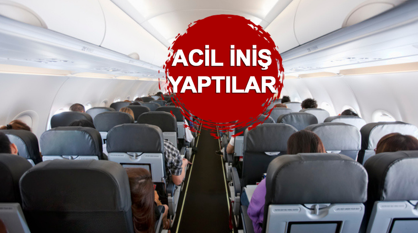 Bir yolcu uçakta yılanların olduğunu söyledi! Herkesi korkunca pilotlar acil iniş yaptı! 
