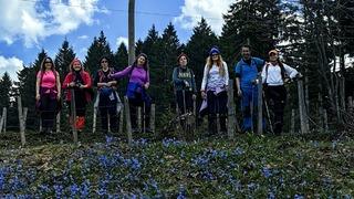 Kadıralak Yaylası mora büründü