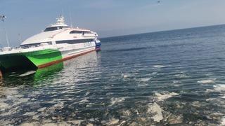 Bursa'nın Mudanya kıyılarında müsilaj görüldü