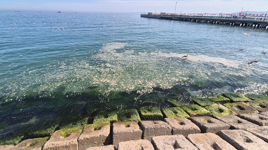 Ne olduğu bilinmiyor! Tekirdağ kıyılarında gözüktü, tedirgin etti