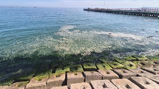 Ne olduğu bilinmiyor! Tekirdağ kıyılarında gözüktü, tedirgin etti