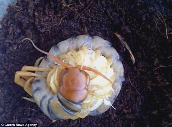 Bu kare duyguları alt üst etti G2