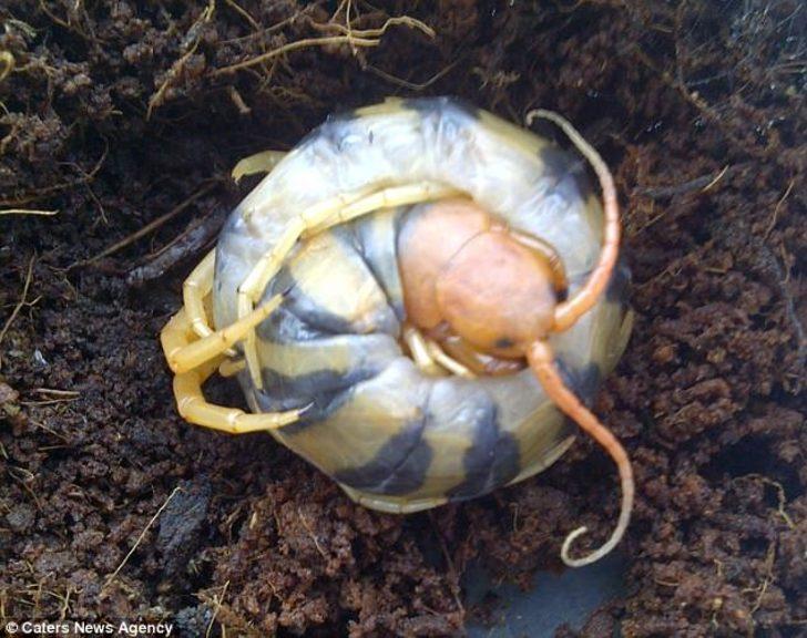 Bu kare duyguları alt üst etti G4