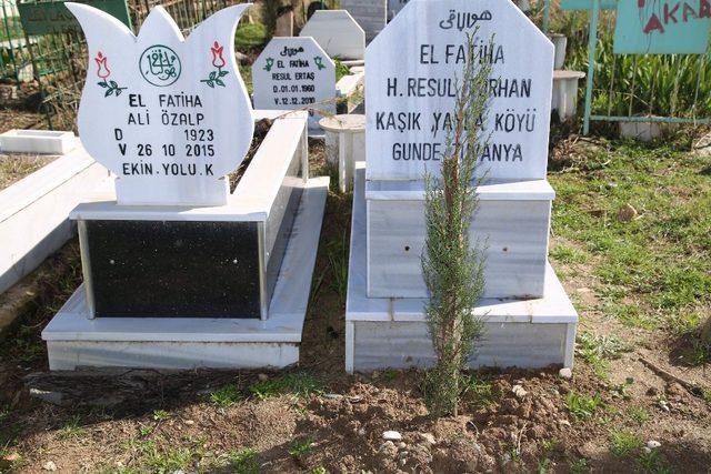 Siirt’te mezar sahiplerine fidan dağıtıldı