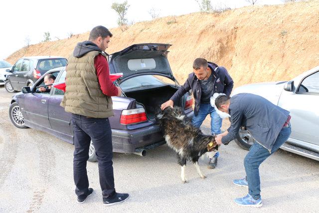 Adıyaman'dan 'Zeytin Dalı Harekatı' için JÖH sevkiyatı