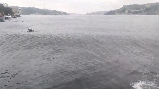 Deprem anında Boğaz'da dalgalar oluştu!