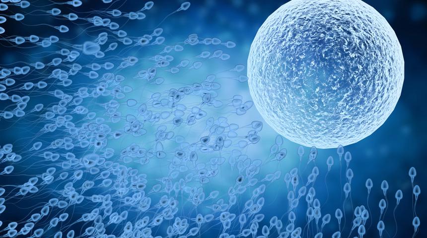 Aşılama nedir, nasıl yapılır? Prof. Dr. Nilg&uuml;n Turhan anlattı