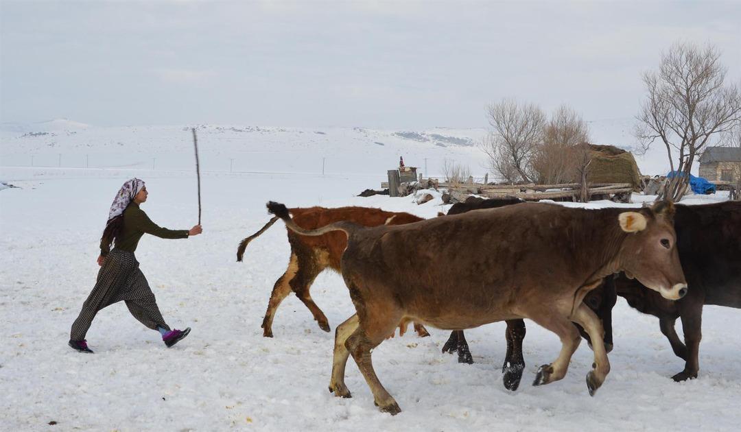 Milli atletin film gibi hayatı