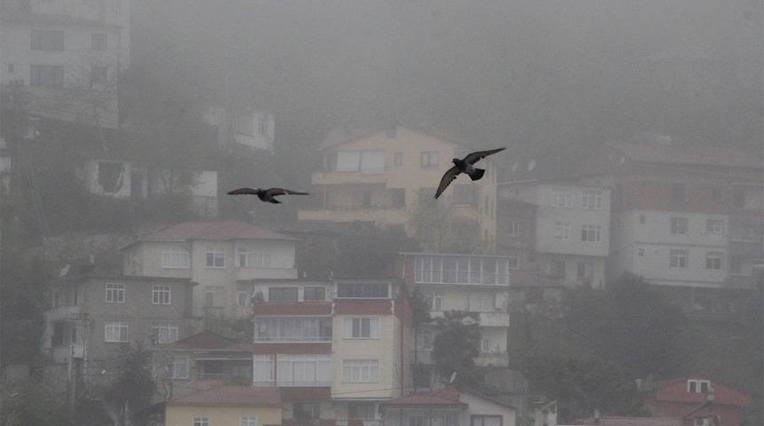 Ordu'da sis etkili oluyor