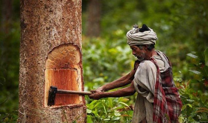 Bilimi şaşırtan kabile G4