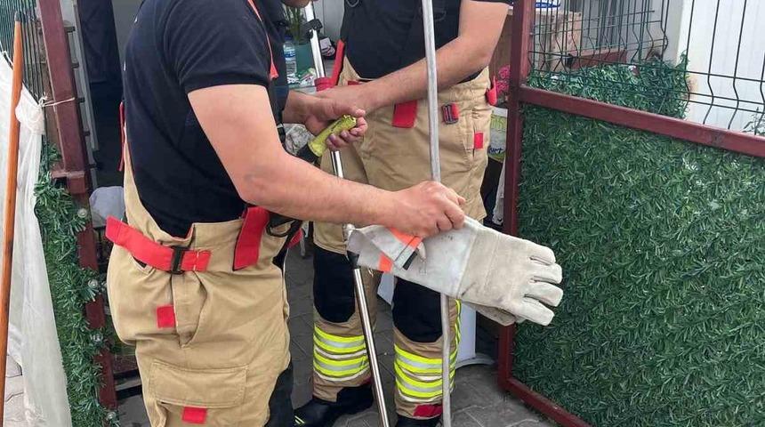 Depremzedelerin konteynerine girdi! İtfaiye ekipleri yılanı yakaladı