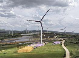 Günlük elektrik üretim ve tüketim verileri