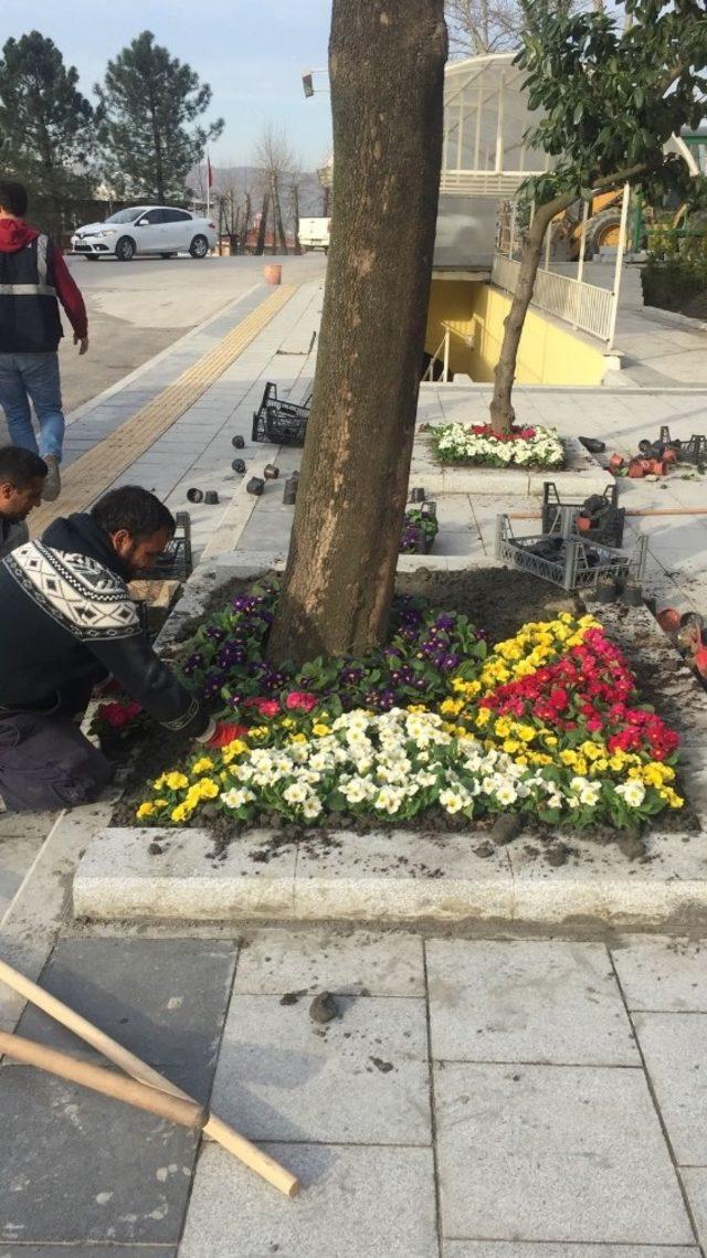 Sapanca’da hummalı çalışma