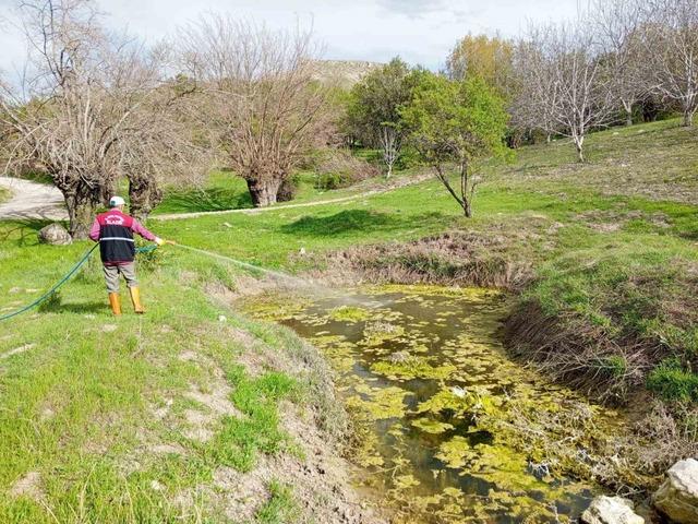 Elazığ’da larva ile mücadele sürüyor