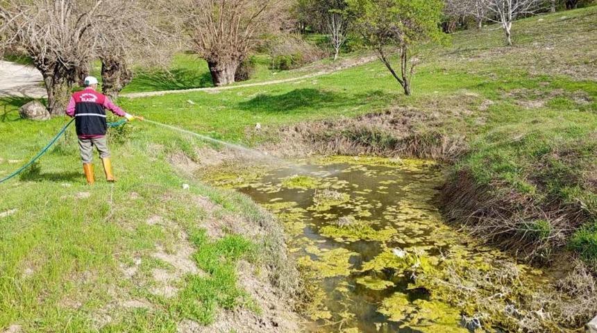 Elazığ’da larva ile mücadele sürüyor